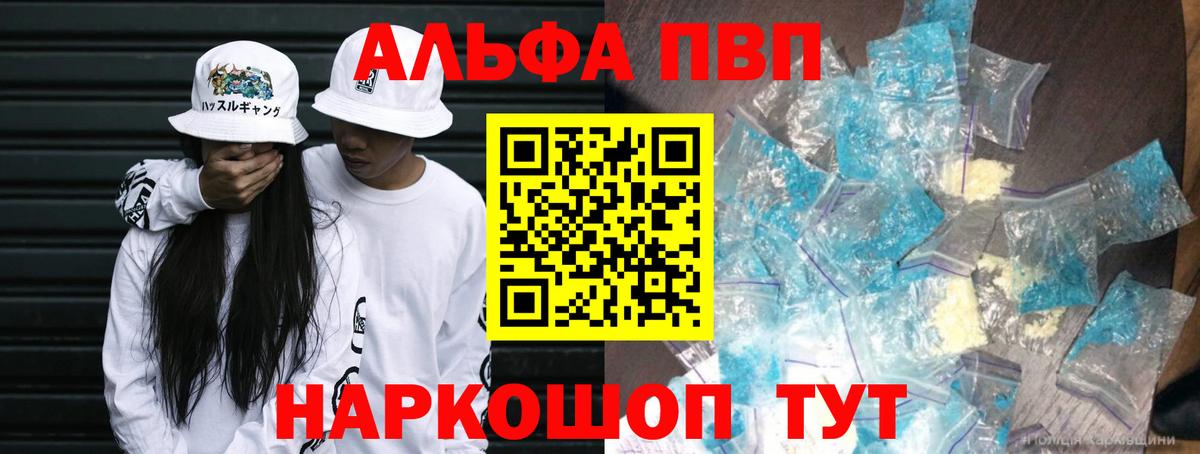 A PVP СК Заводоуковск