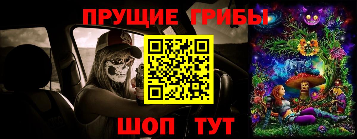 Галлюциногенные грибы Cubensis Заводоуковск