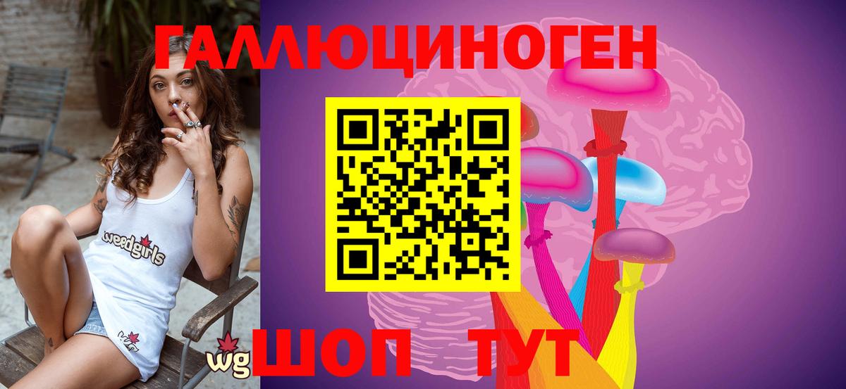 Псилоцибиновые грибы MAGIC MUSHROOMS  Вход с VPN  купить наркоту  Заводоуковск 